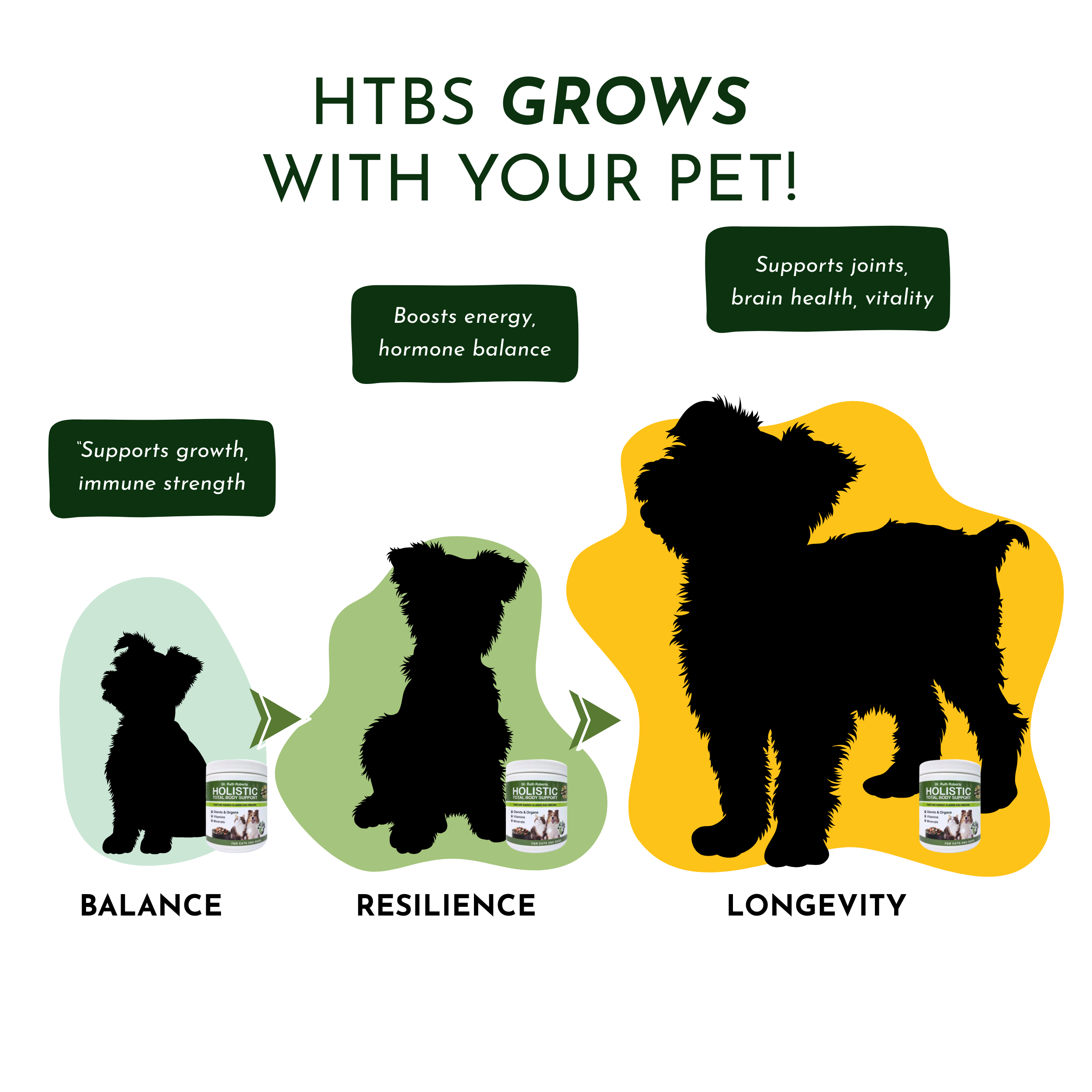 Holistic Daily Multivitamin for Dogs & Cats