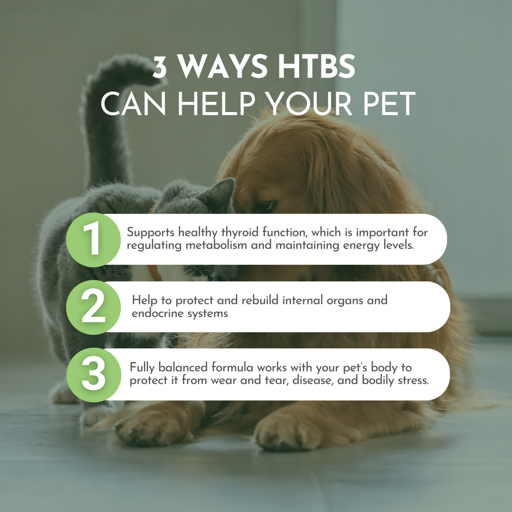 Holistic Daily Multivitamin for Dogs & Cats
