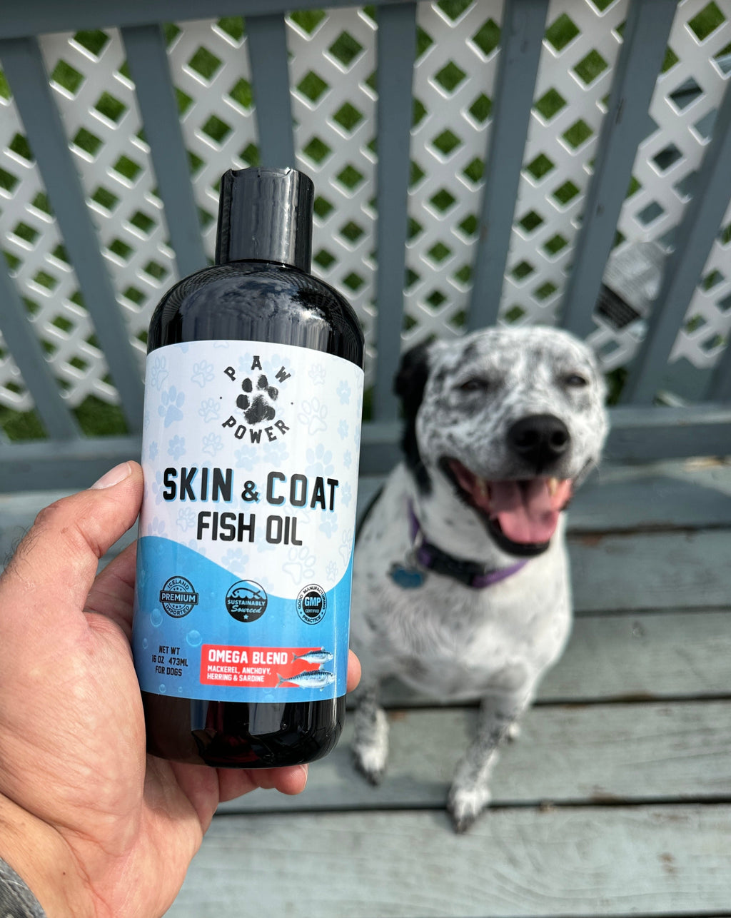 Skin & Coat Supplement for Dogs
