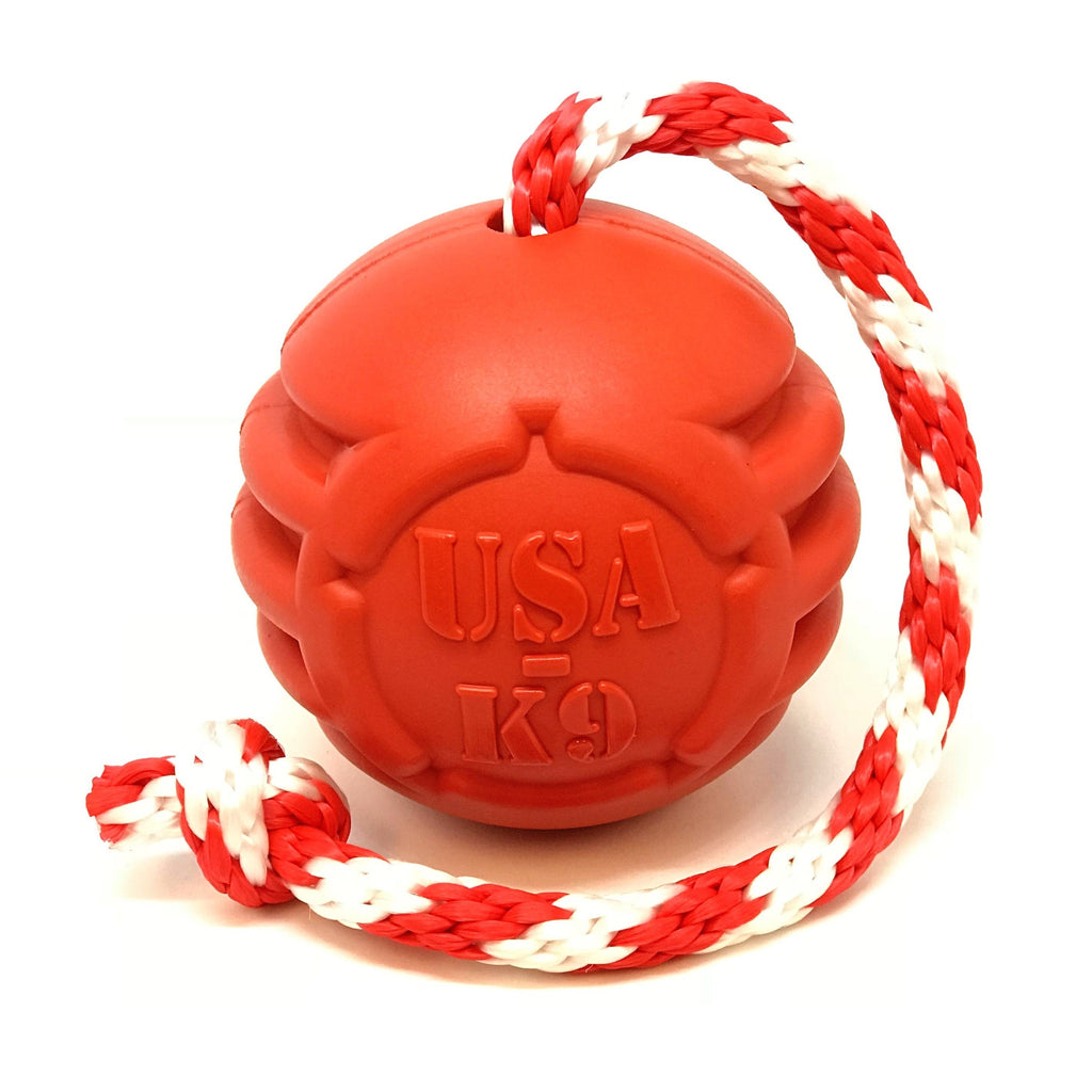 Stars & Stripes Rubber Dog Toy