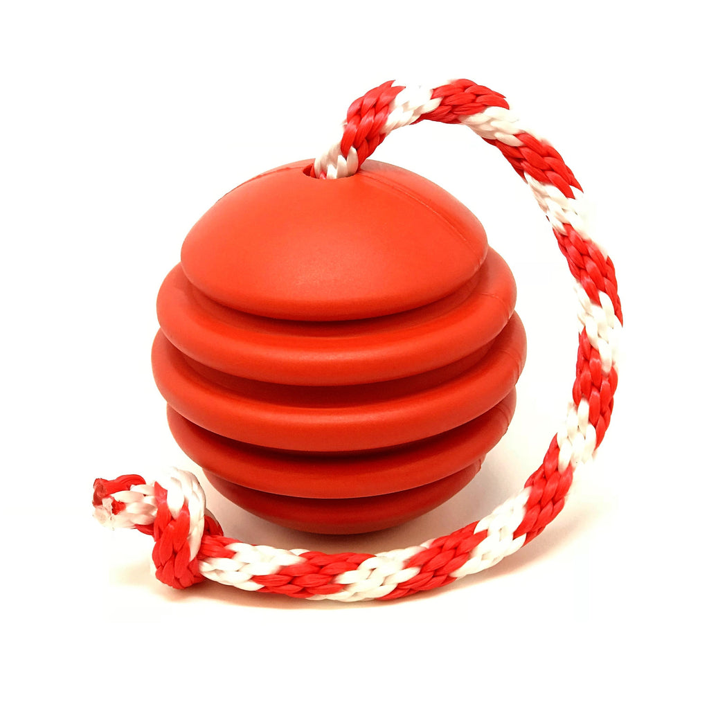 Stars & Stripes Rubber Dog Toy