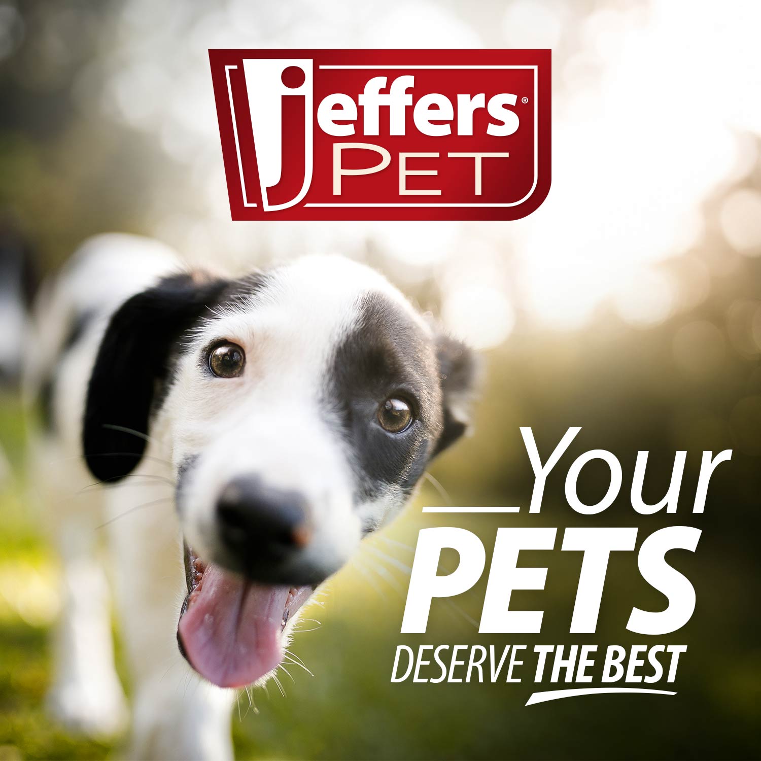 Cedar Flea Bite Relief Shampoo for Dogs & Cats