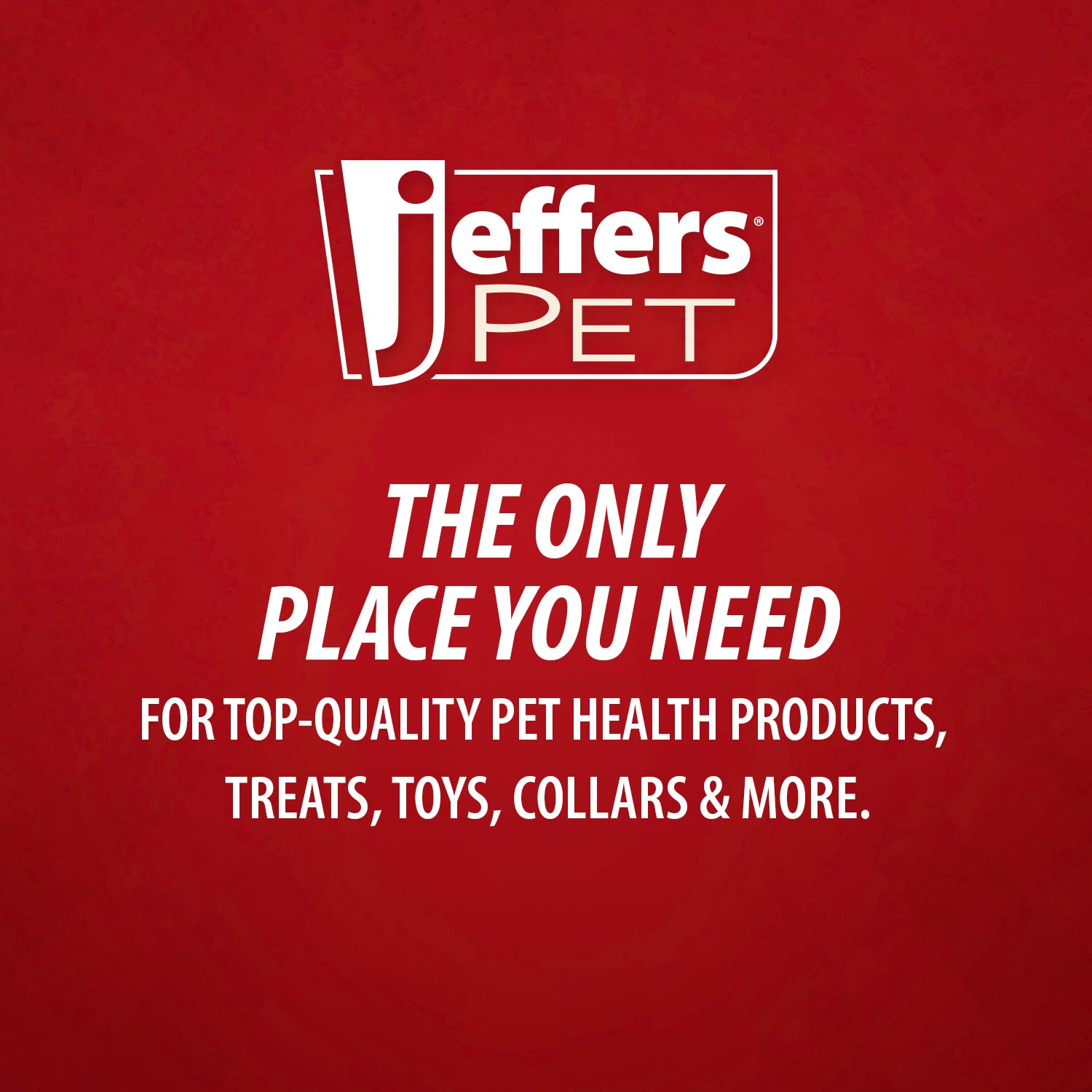 Citrus Flea Bite Relief Shampoo for Dogs & Cats