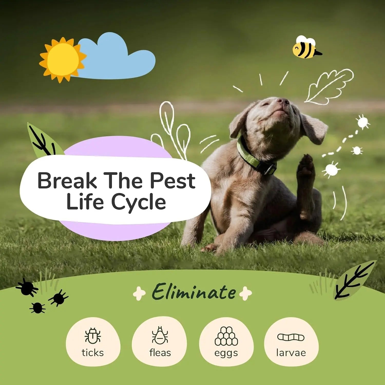 Plant-Based Flea & Tick Dog Shampoo