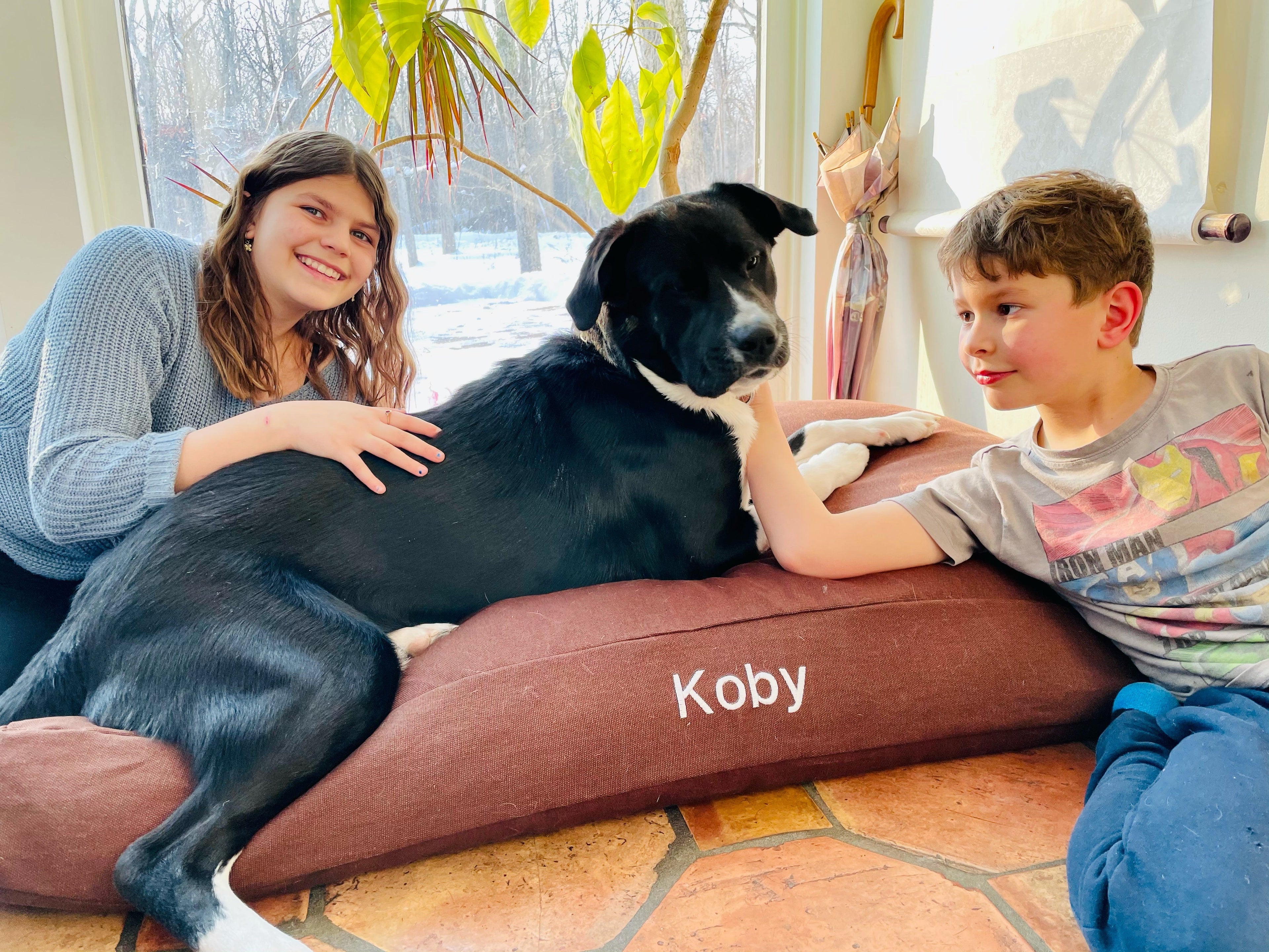Hemp & Organic Latex Dog Bed