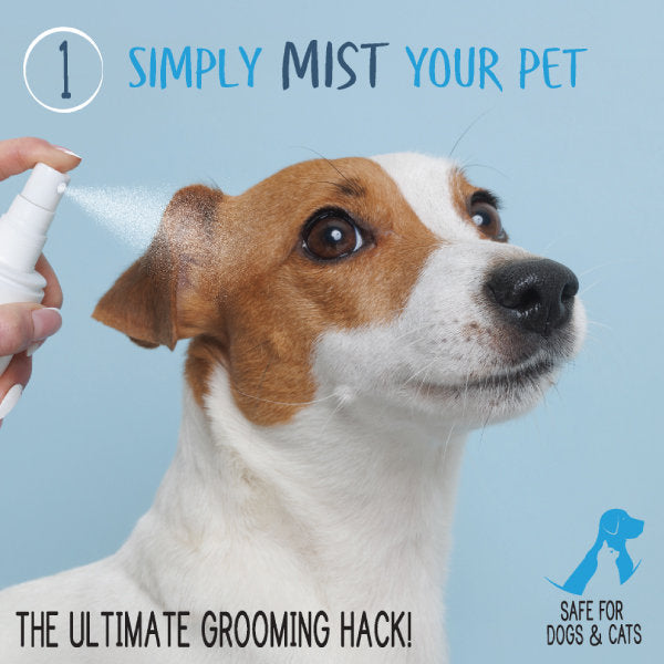 Waterless Shampoo & Conditioner Spray for Dogs & Cats