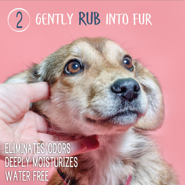 Waterless Shampoo & Conditioner Spray for Dogs & Cats