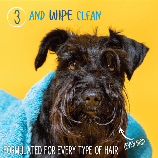 Waterless Shampoo & Conditioner Spray for Dogs & Cats