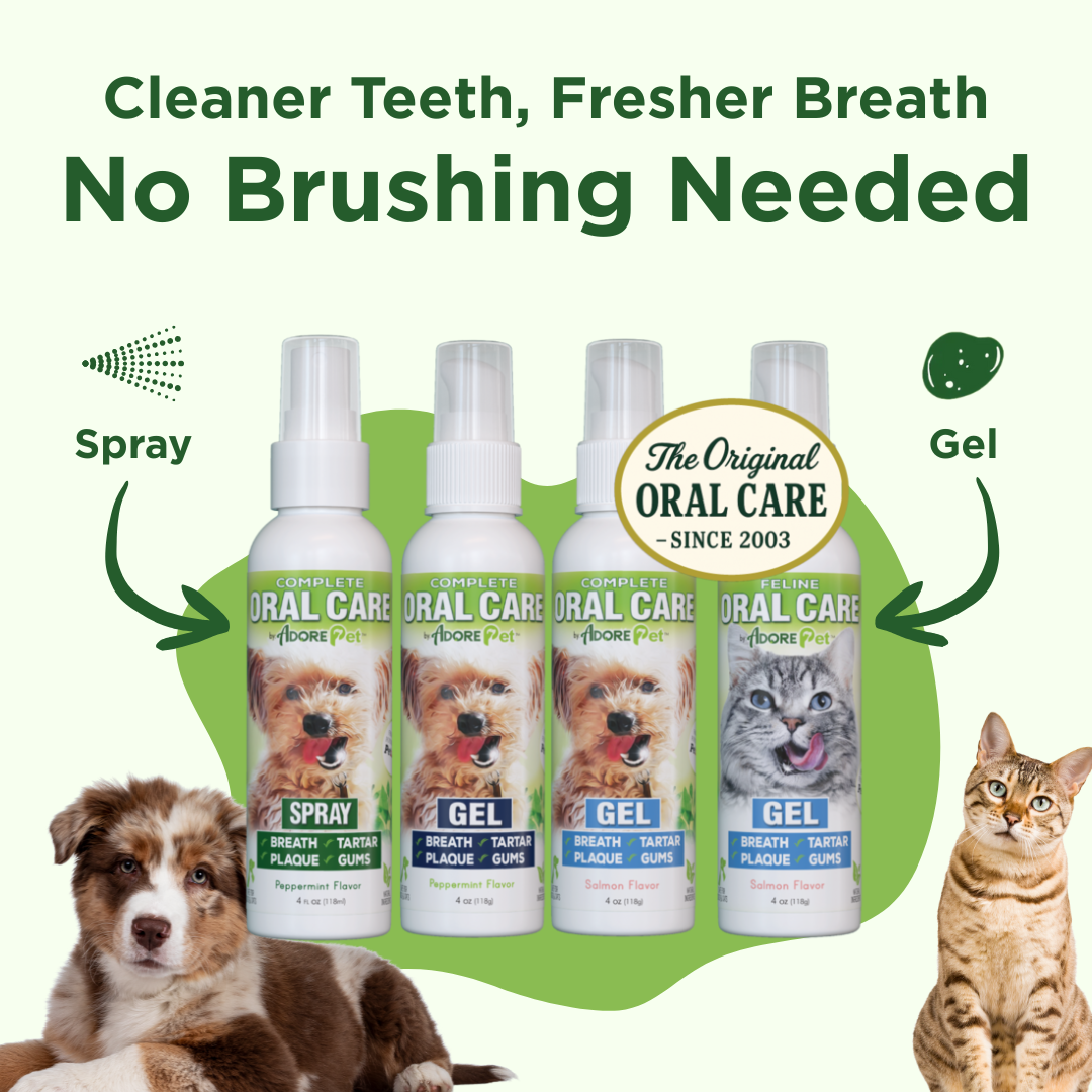 Pack of oral care bottles: spray and gel with white pump tops for dogs.