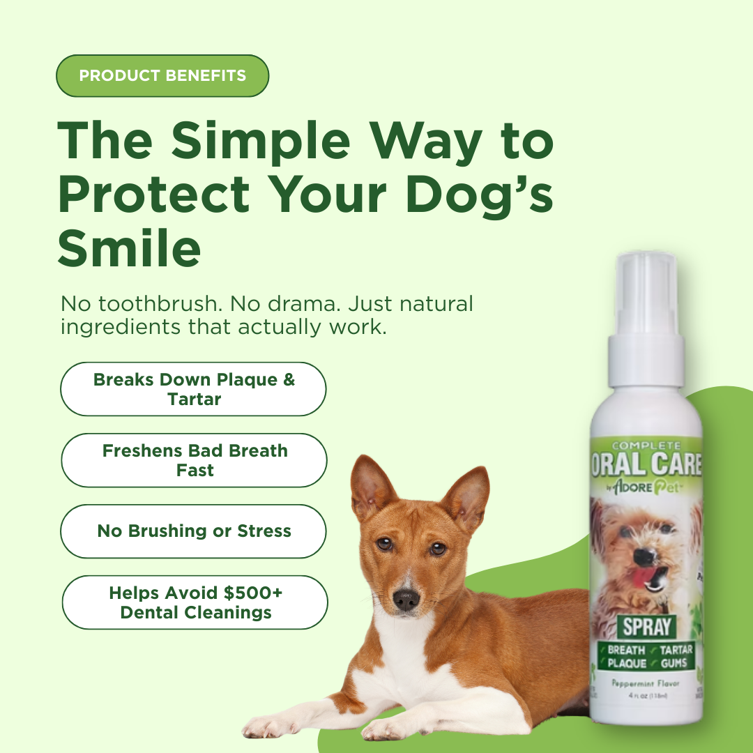 Dog oral care spray bottle with label next to a lying dog.