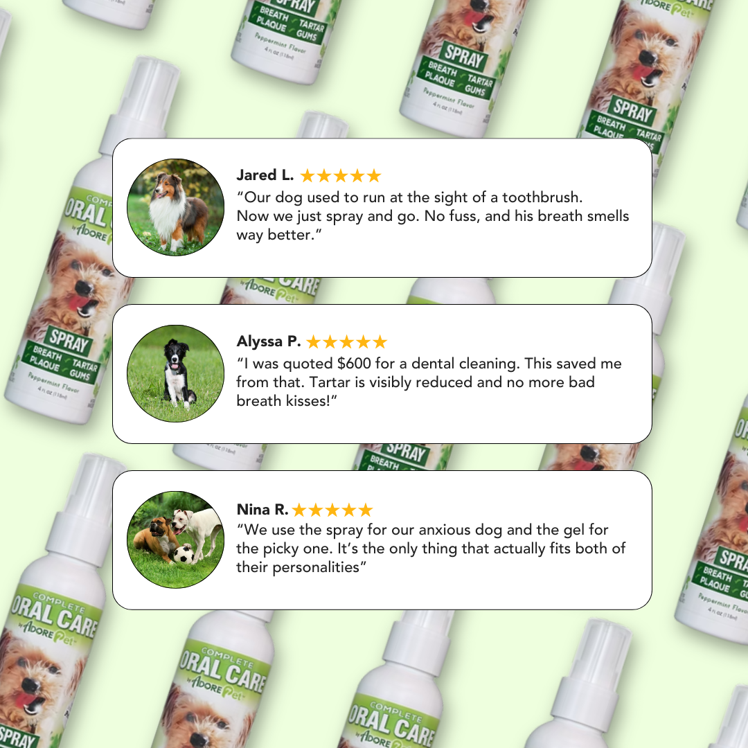Dog oral care spray bottles with customer testimonial cards and ratings.