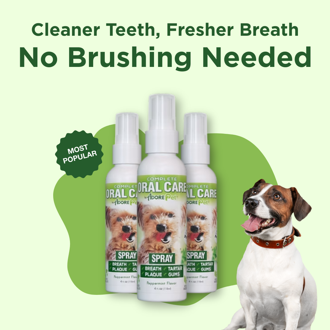 Set of dog oral care spray bottles with white pump sprayers.