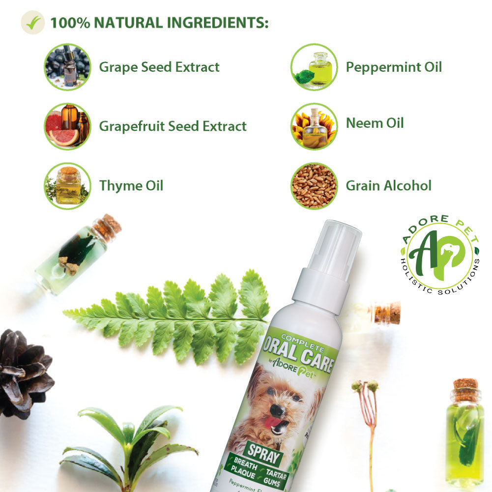 Dog oral care spray bottle with white pump sprayer and illustrated label.