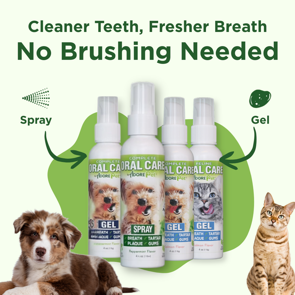 Pet oral care spray bottles and gel for teeth cleaning and fresh breath