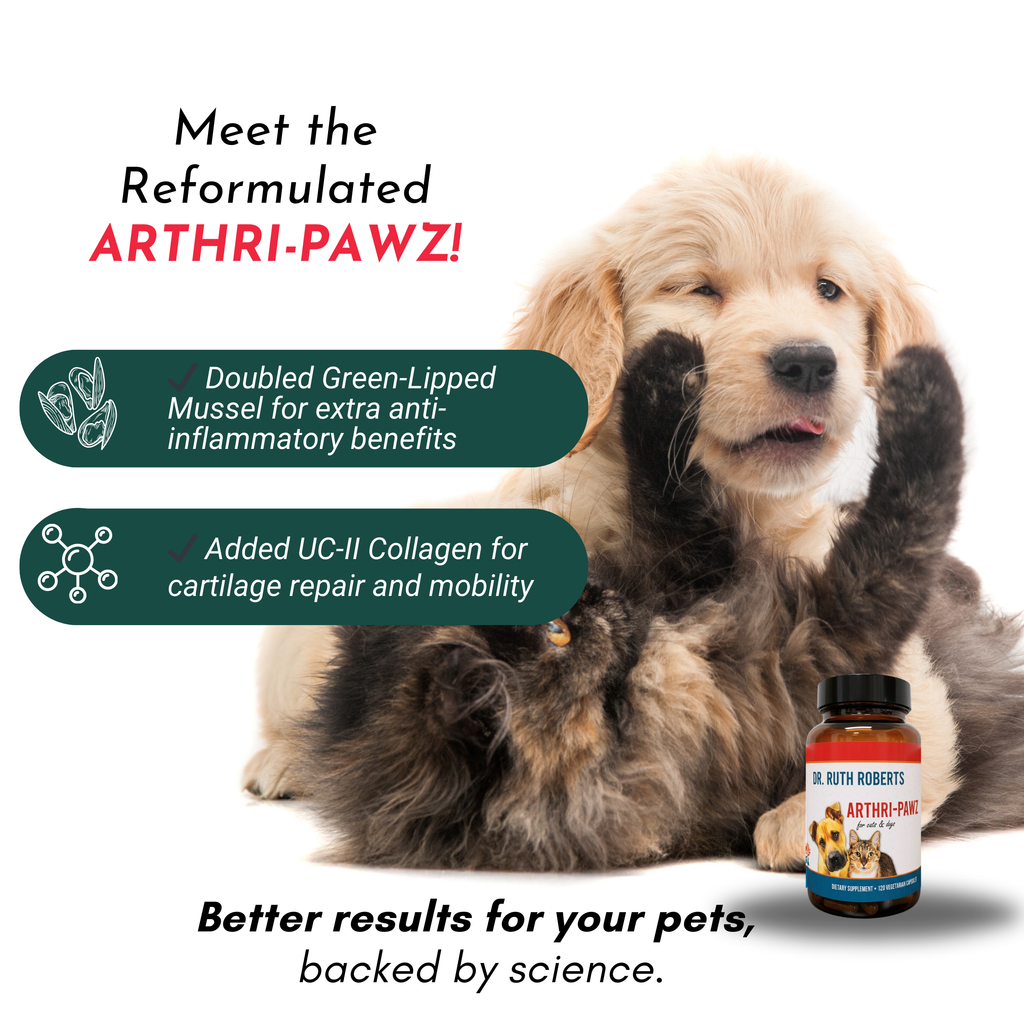 Arthri-Pawz Joint Support Supplement for Dogs & Cats