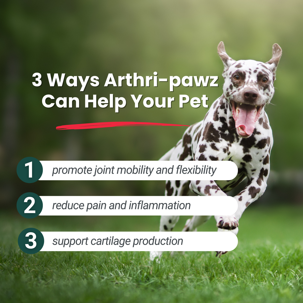 Arthri-Pawz Joint Support Supplement for Dogs & Cats