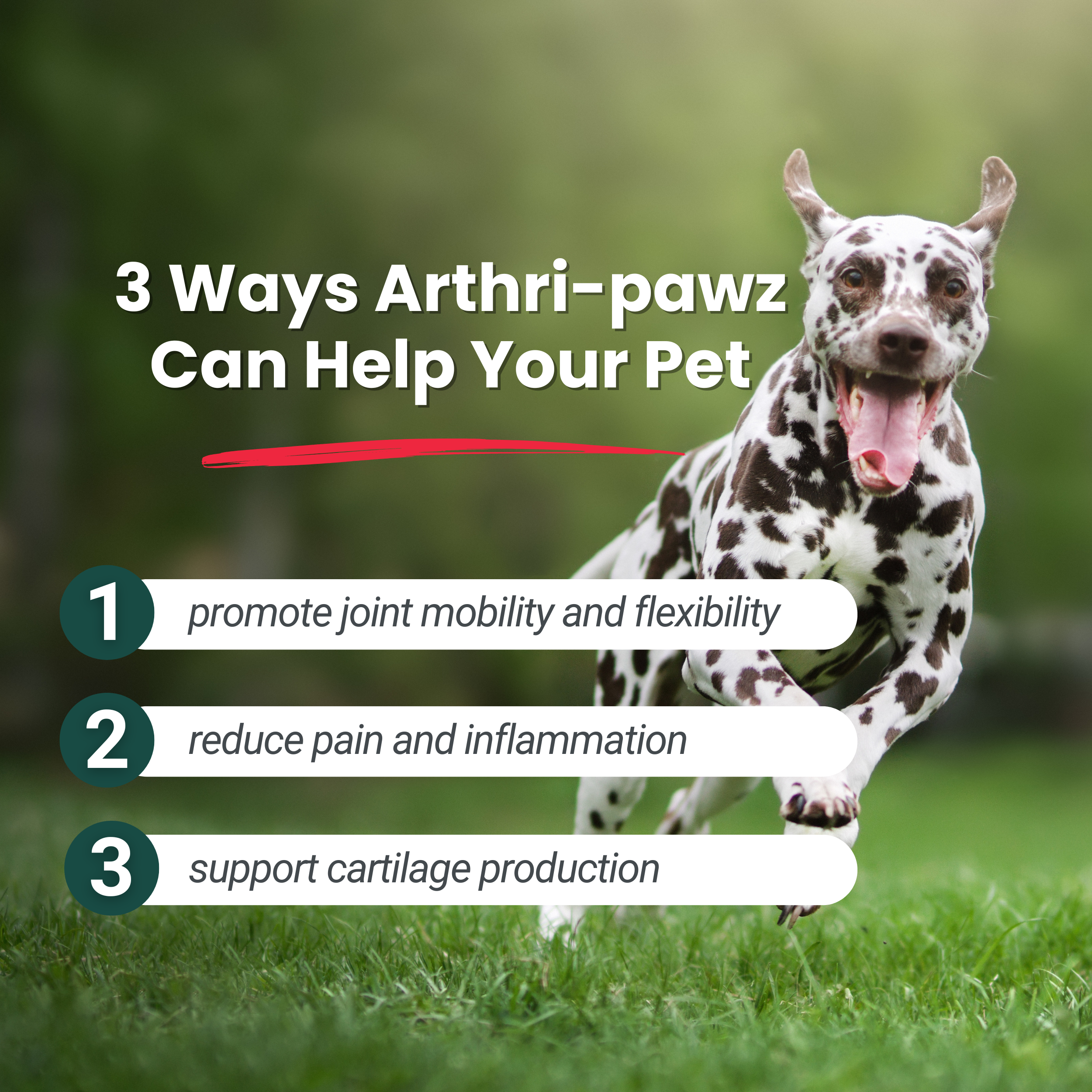 Arthri-Pawz Joint Support Supplement for Dogs & Cats