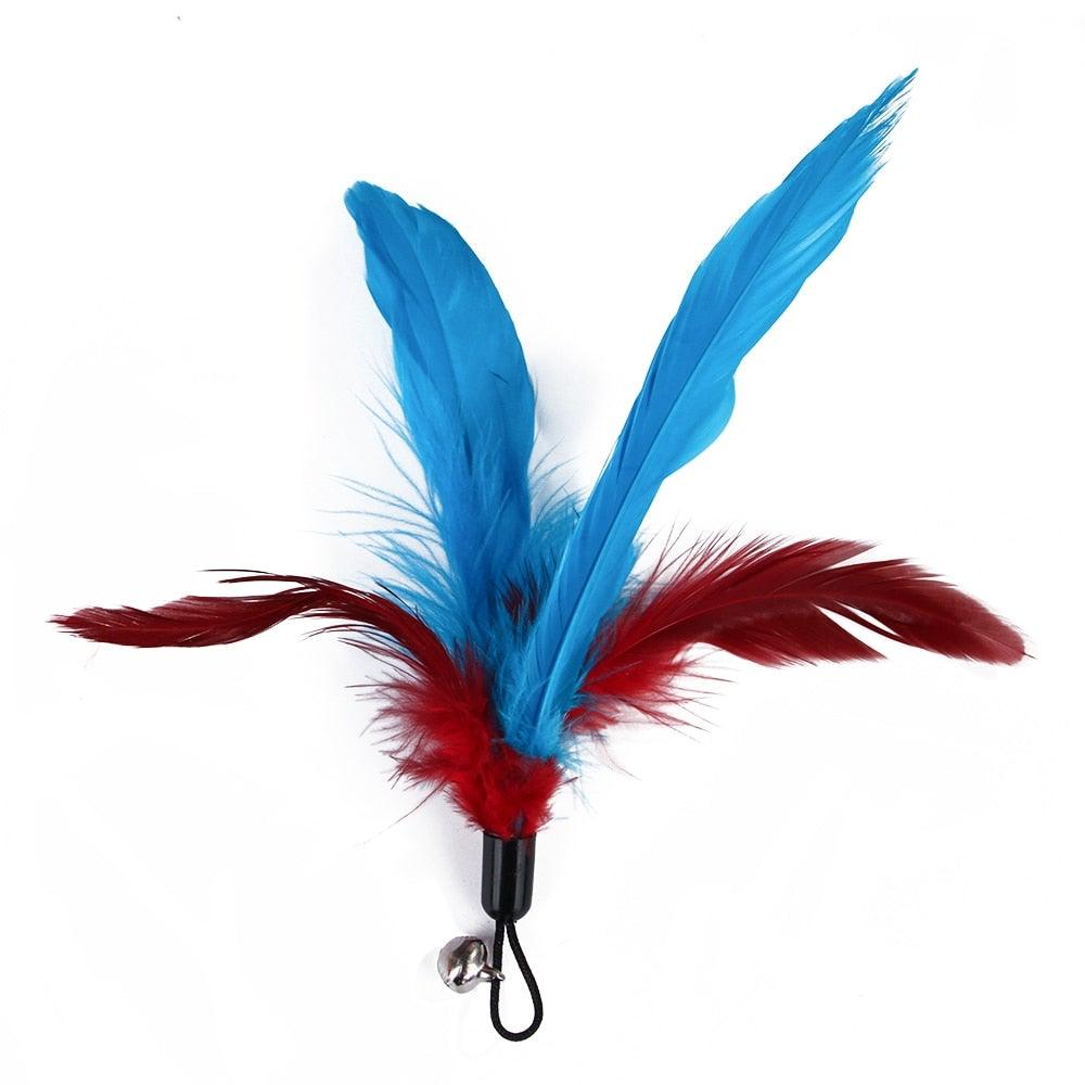 Retractable Cat Feather Wand Toy Set