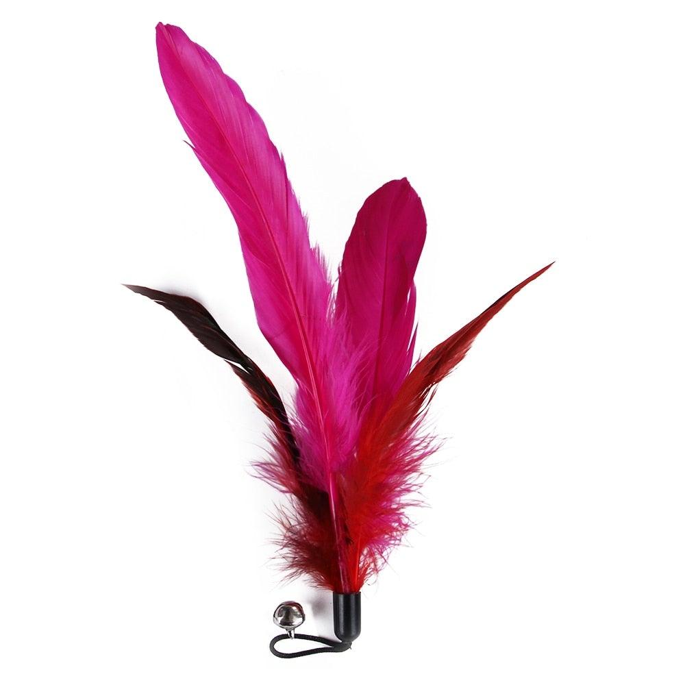 Retractable Cat Feather Wand Toy Set