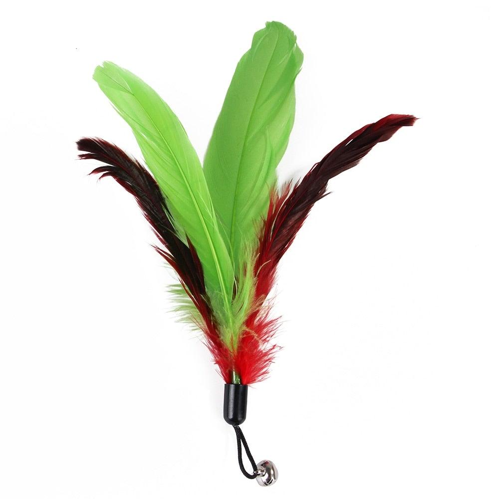 Retractable Cat Feather Wand Toy Set