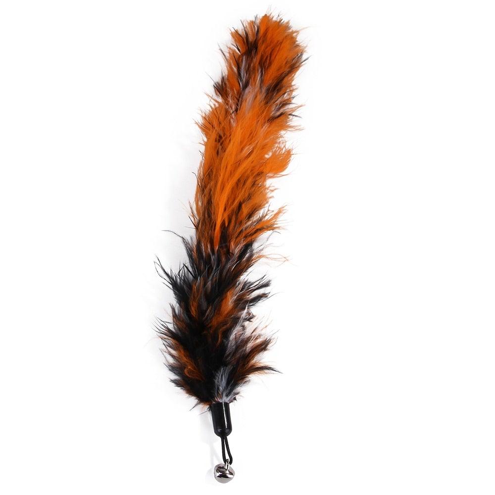 Retractable Cat Feather Wand Toy Set