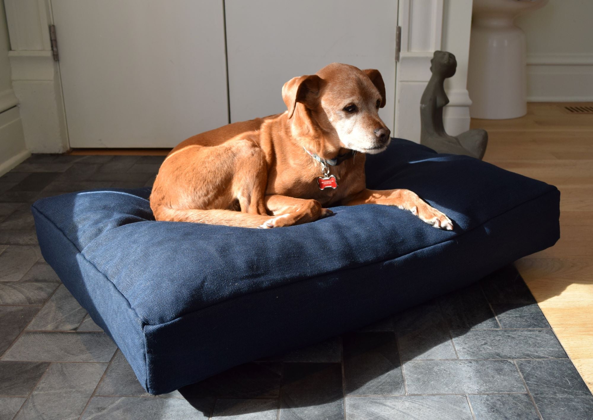 Hemp & Organic Latex Dog Bed