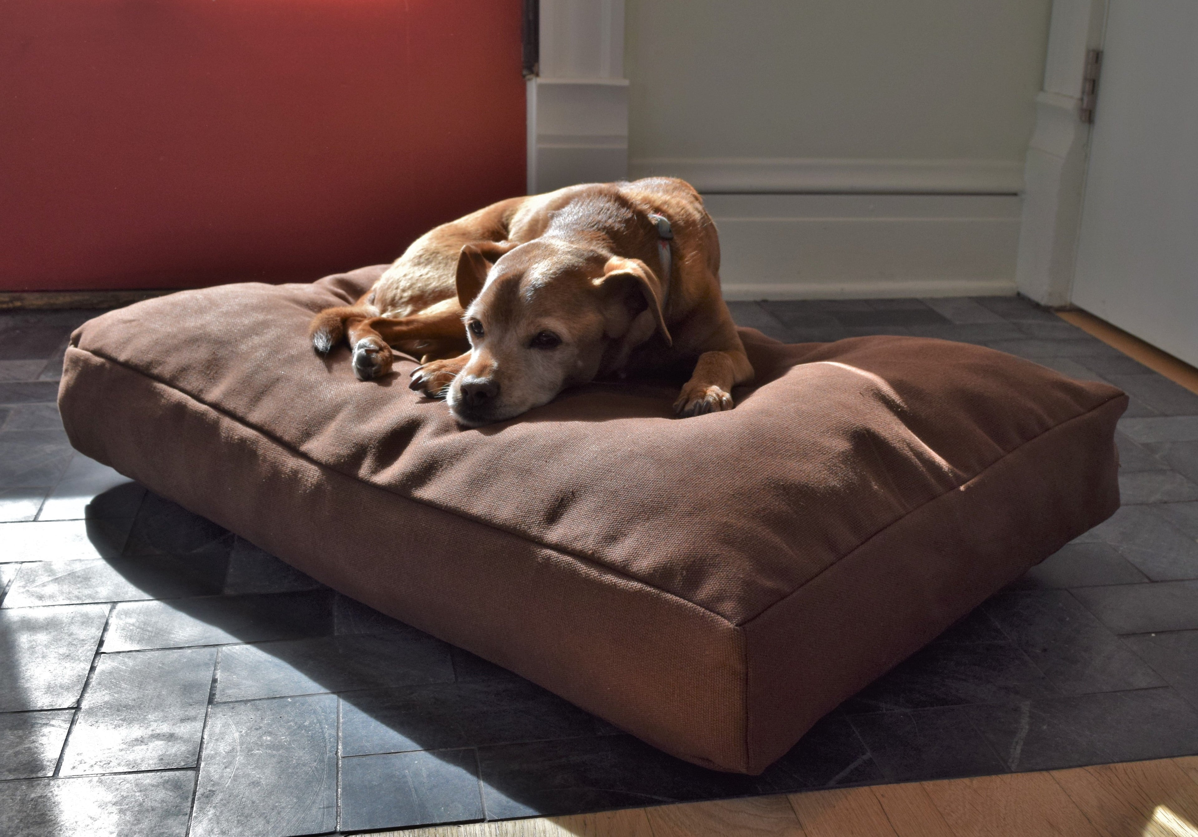 Hemp & Organic Latex Dog Bed
