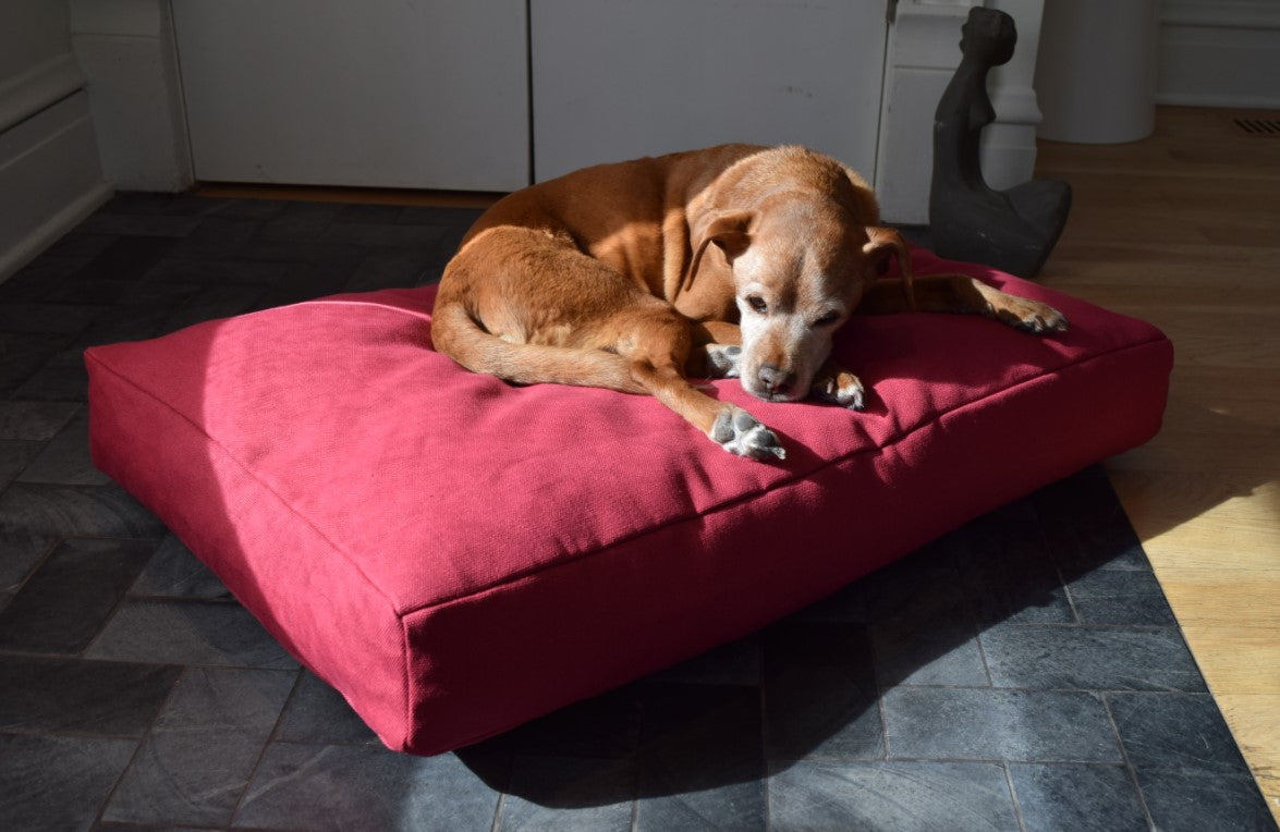 Hemp & Organic Latex Dog Bed