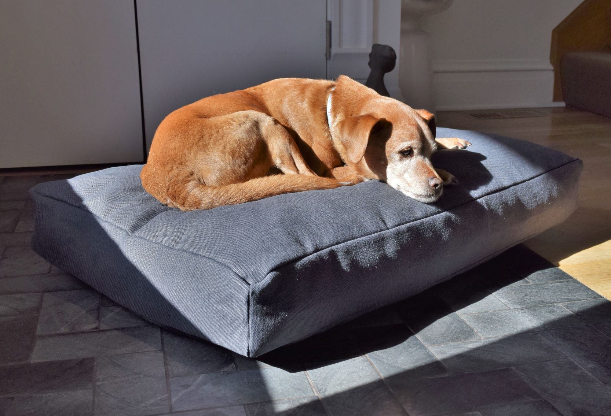 Hemp & Organic Latex Dog Bed