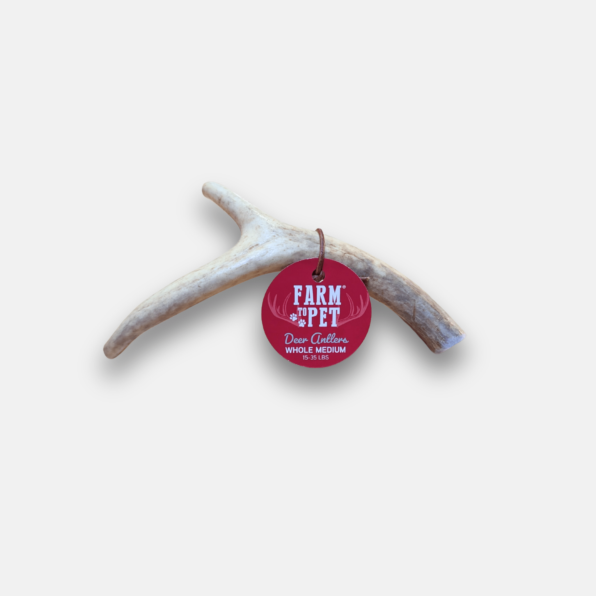 Light gray deer antler dog chew with three-prong shape and red brand tag