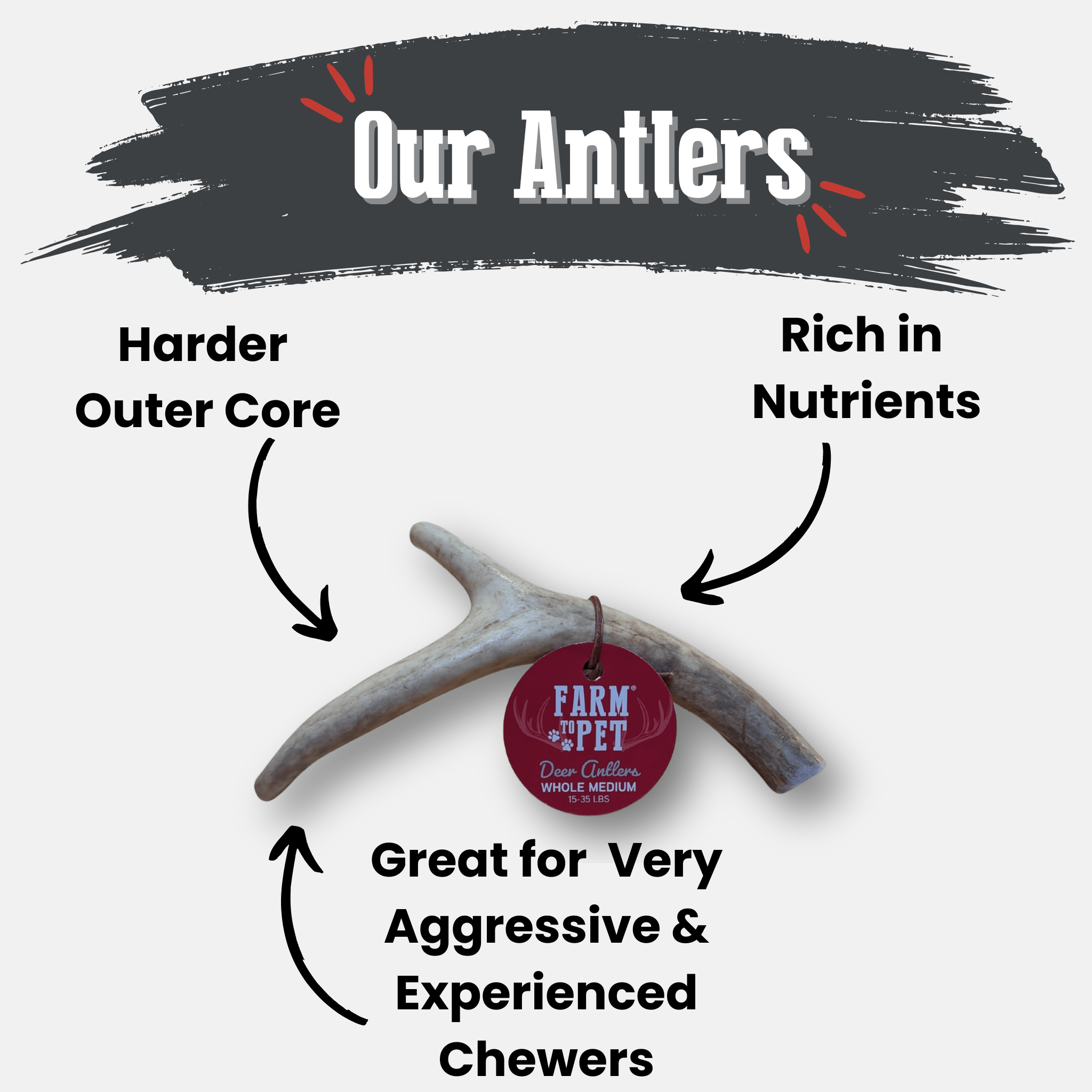 Infographic showing deer antler chew harder outer core and rich nutrients