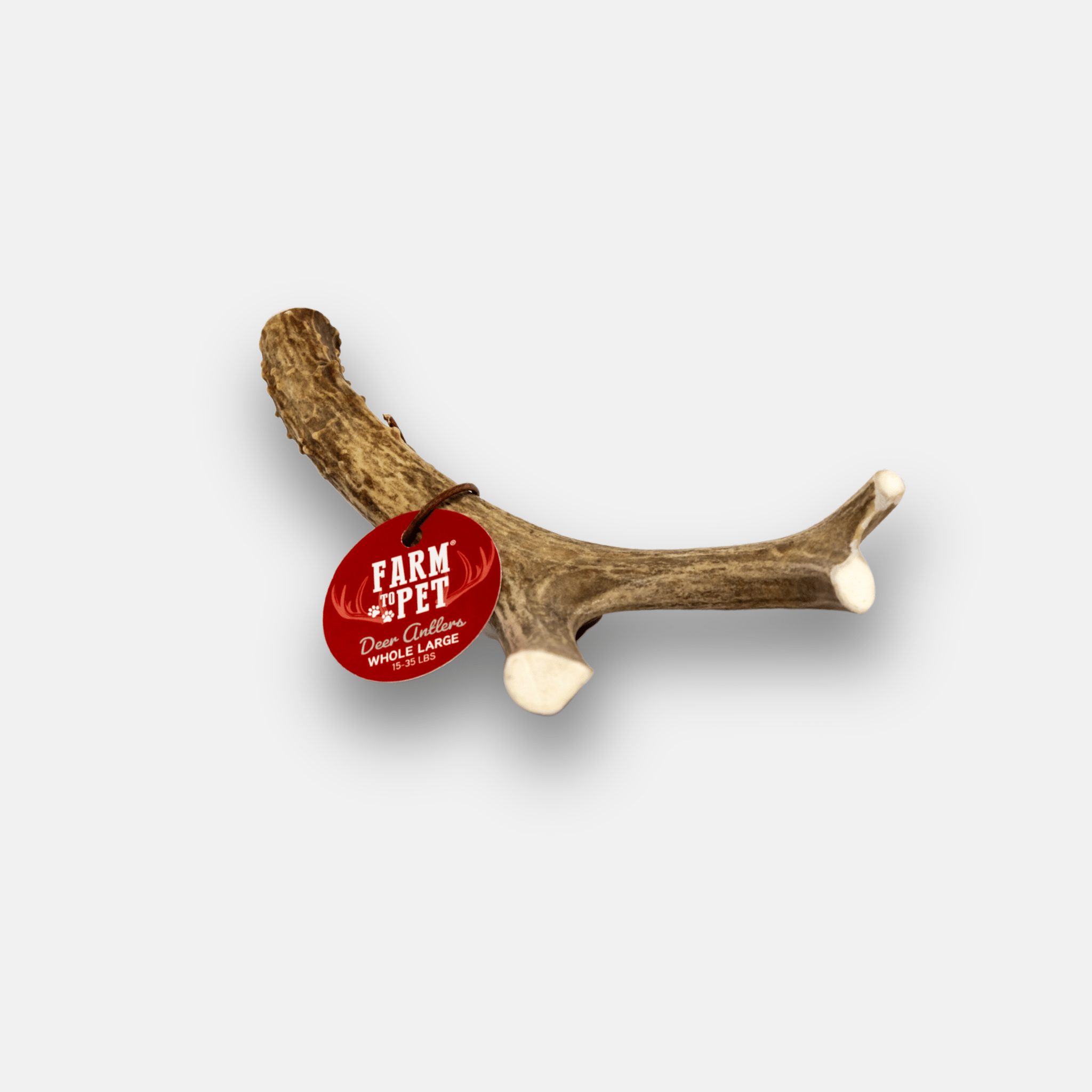 Large deer antler dog chew with three-prong end and red brand tag