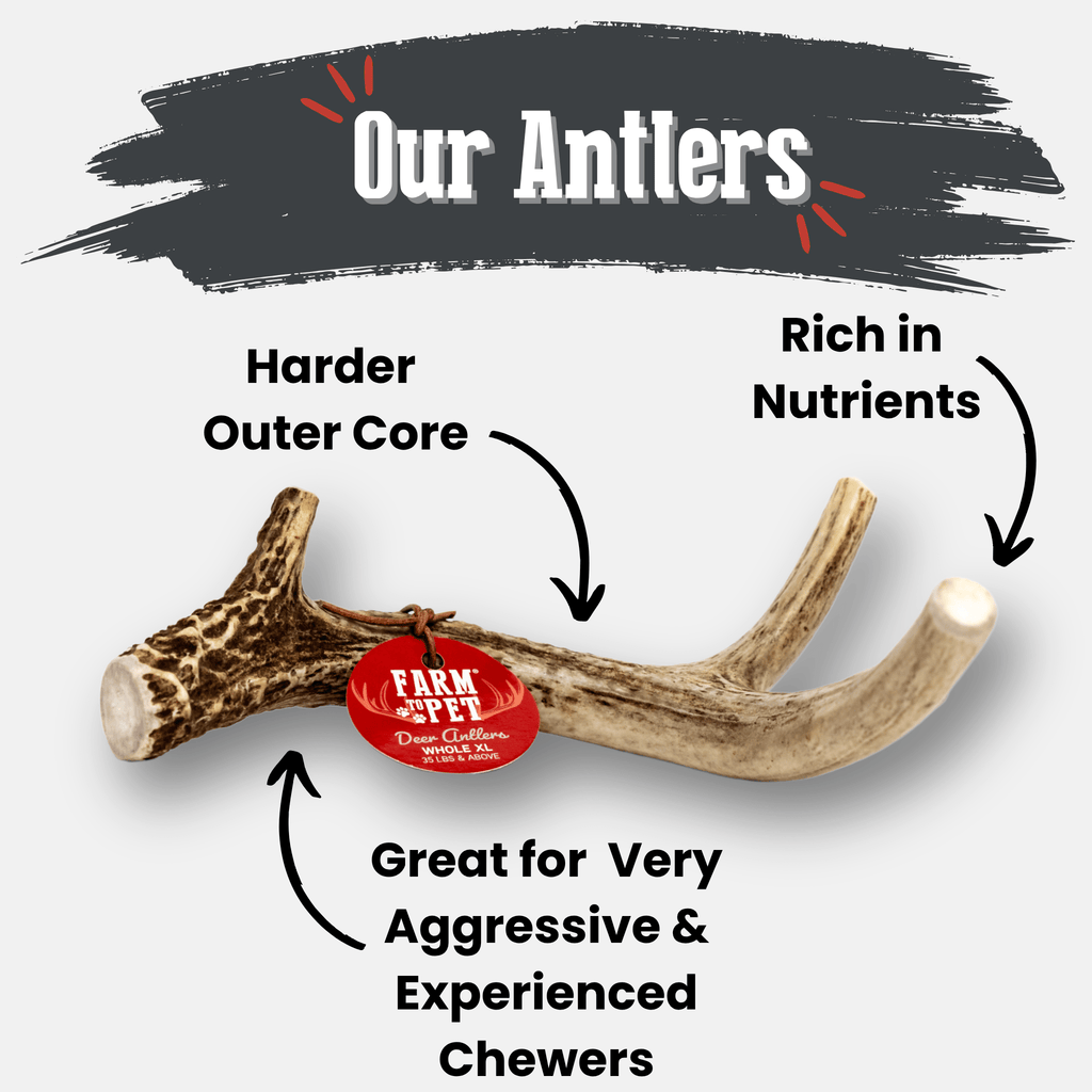Deer antler dog chew pair on white with red Farm to Pet labels