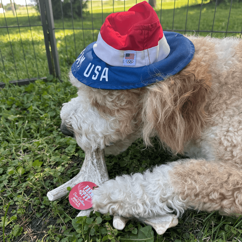 Deer antler dog chew in a dog’s mouth with red Farm to Pet label