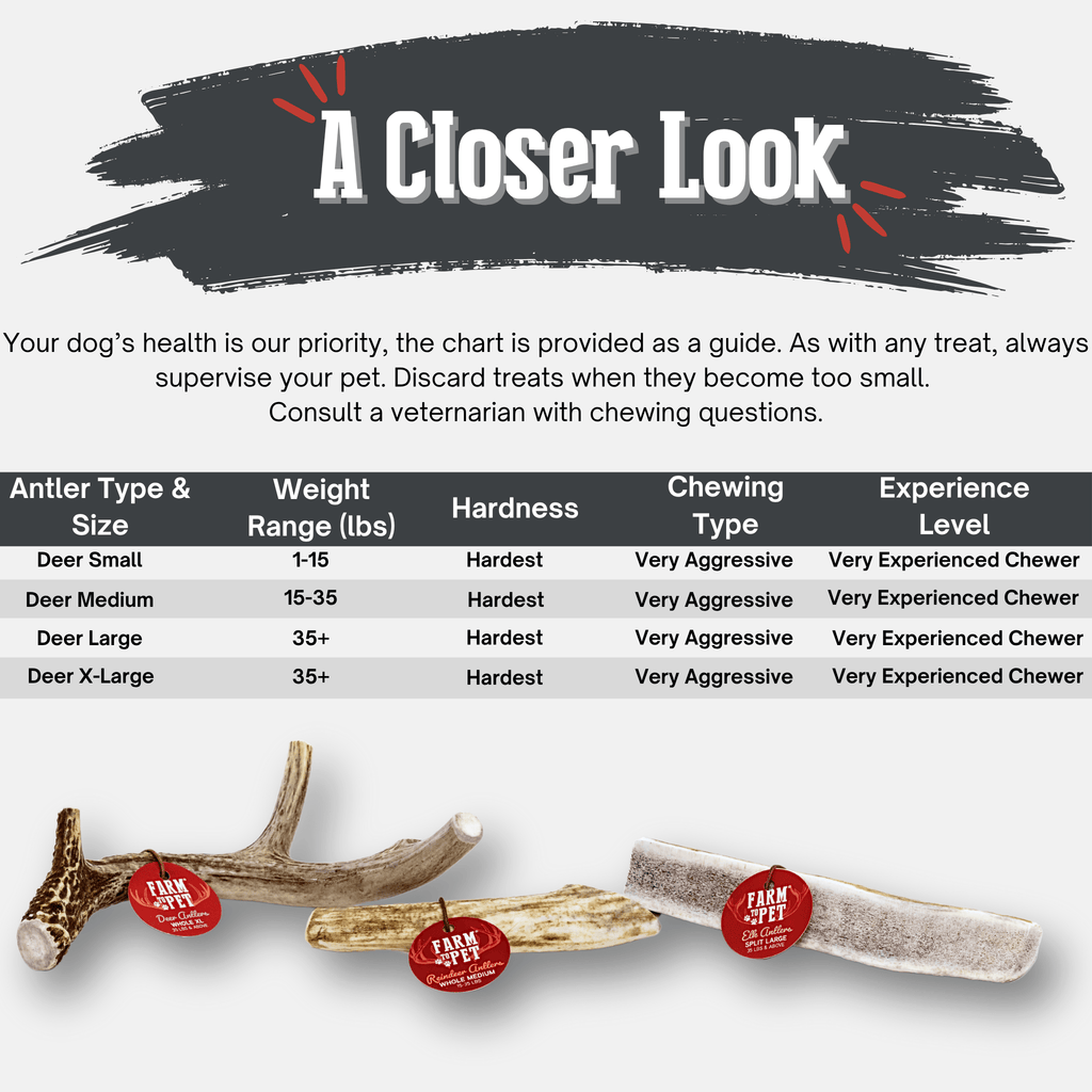 Deer antler dog chew bundle with two antler pieces