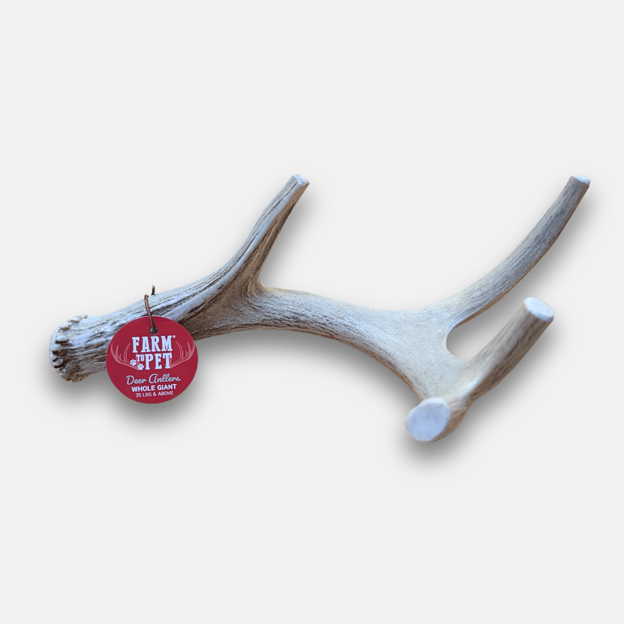 Deer antler dog chew, light beige antler with red label