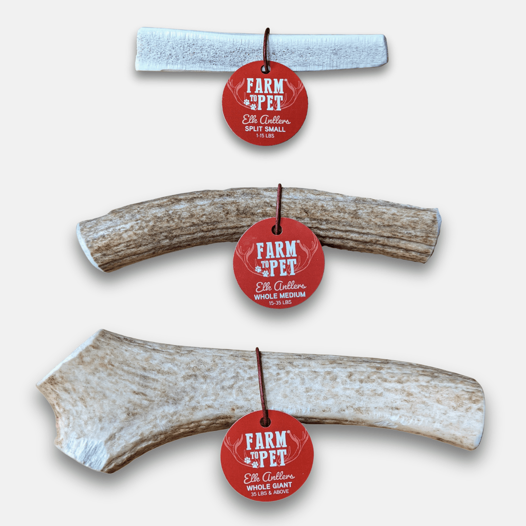 Elk antler dog chew, split antler with red hanging tag; pale bone color.