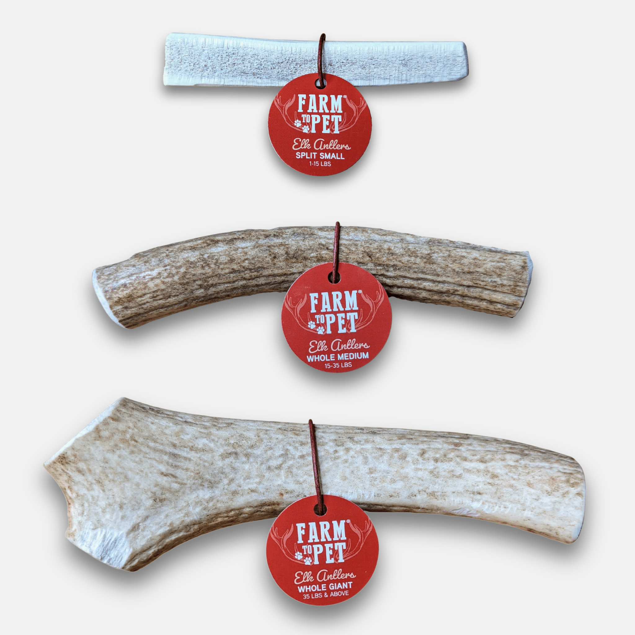 Elk antler dog chew, split antler with red hanging tag; pale bone color.