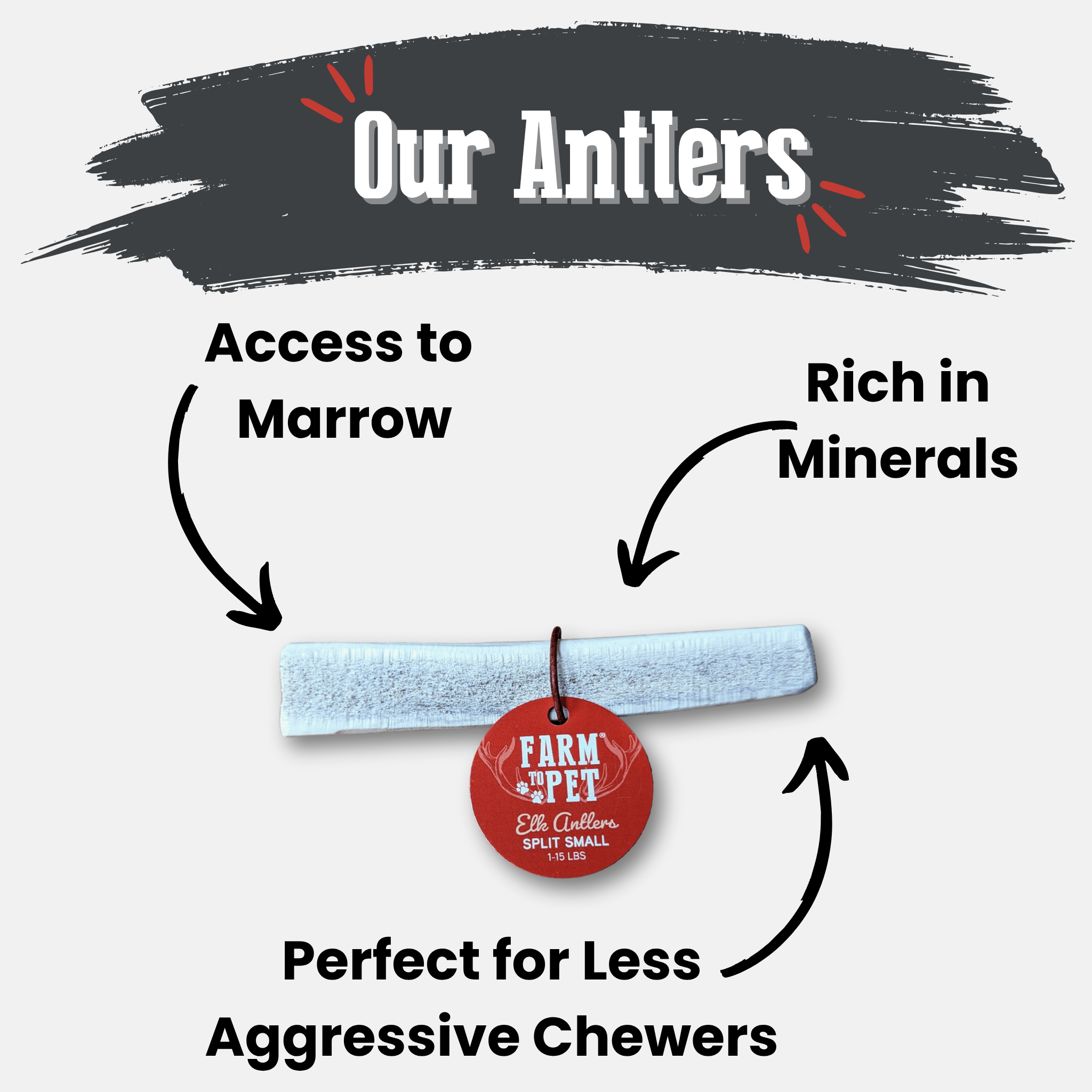 Elk antler dog chew, whole rod with red hanging tag; slender pale gray-beige ends.