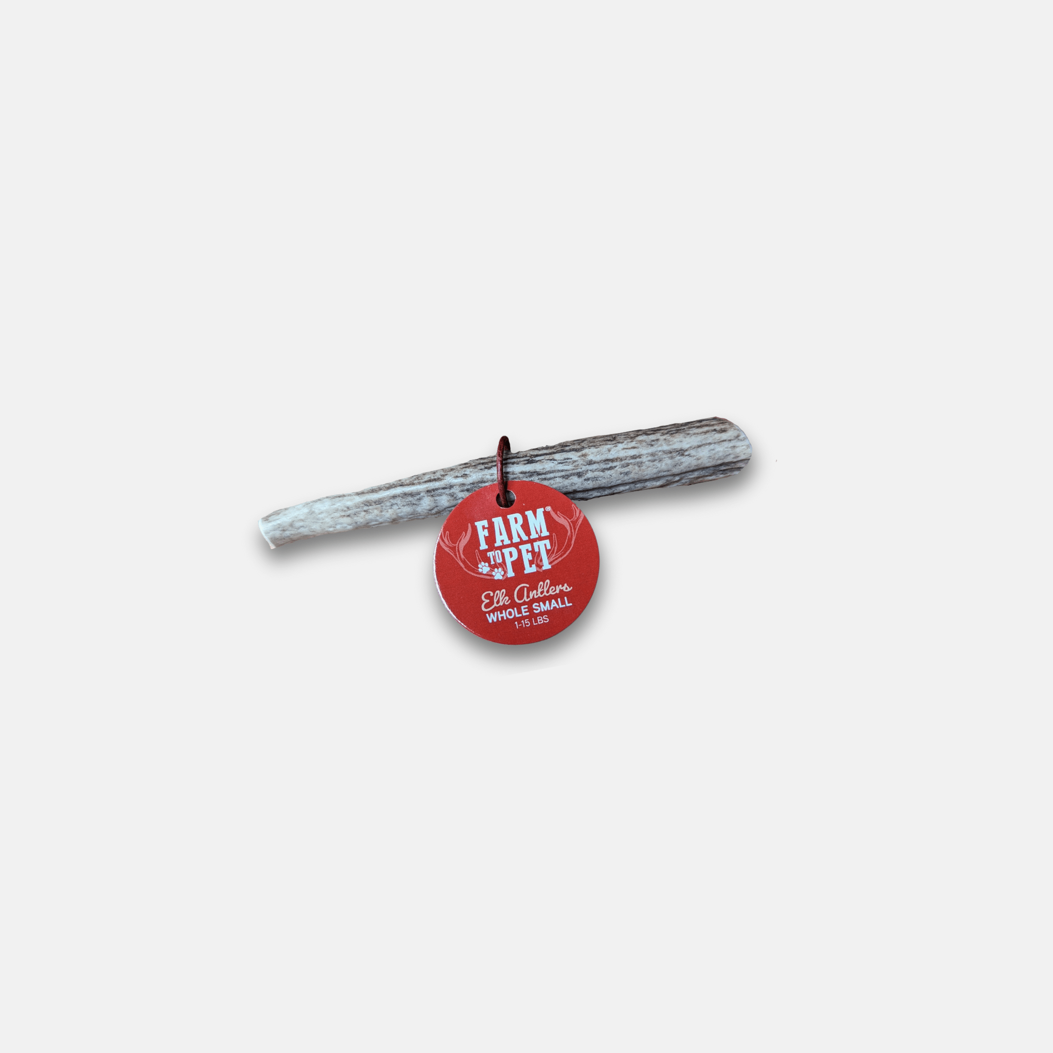 Elk antler dog chew, whole small antler piece with red hanging tag; pale gray-beige.
