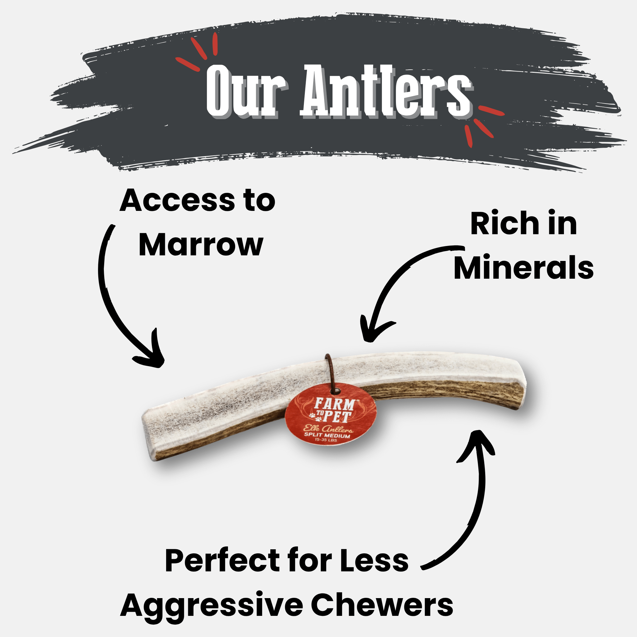 Elk antler dog chew segment with red Farm Pet tag
