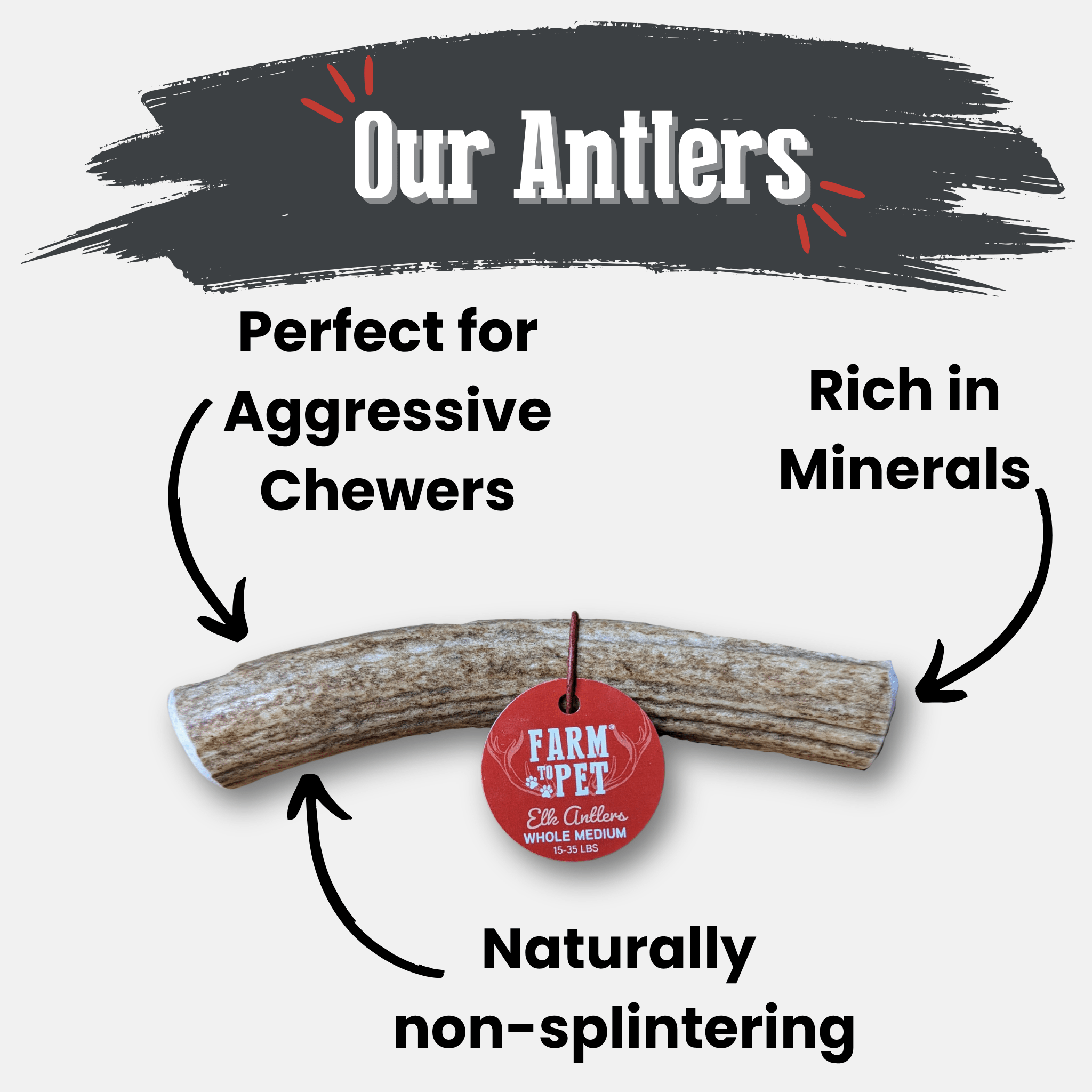 Elk antler dog chew with red Farm to Pet tag, natural antler