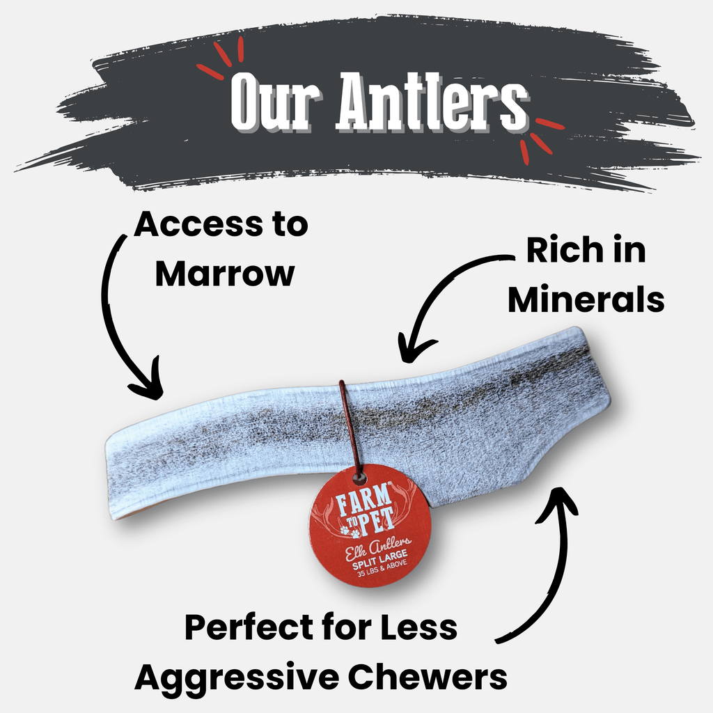 Split elk antler dog chew with red brand tag, shown on a light background