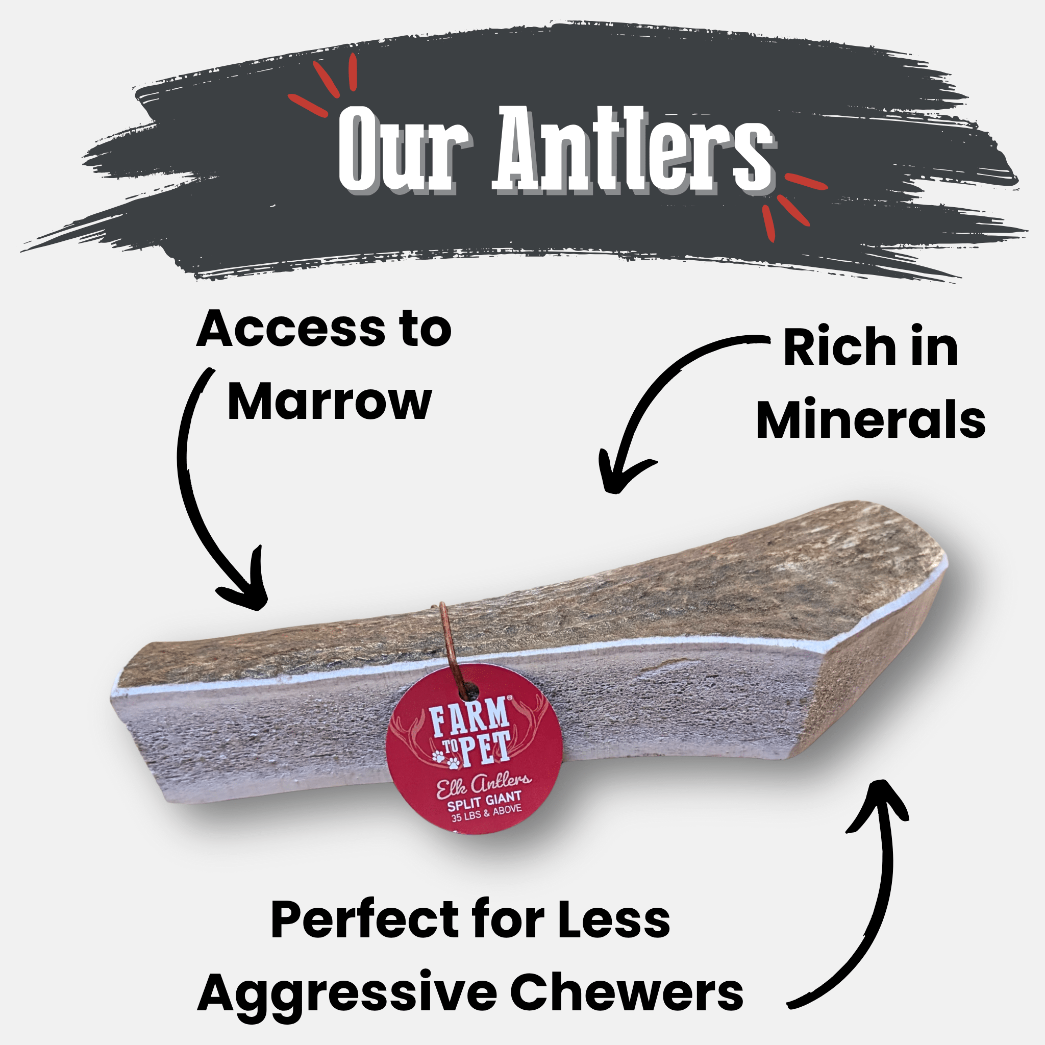Long elk antler chew with red Farm to Pet tag on a plain white background