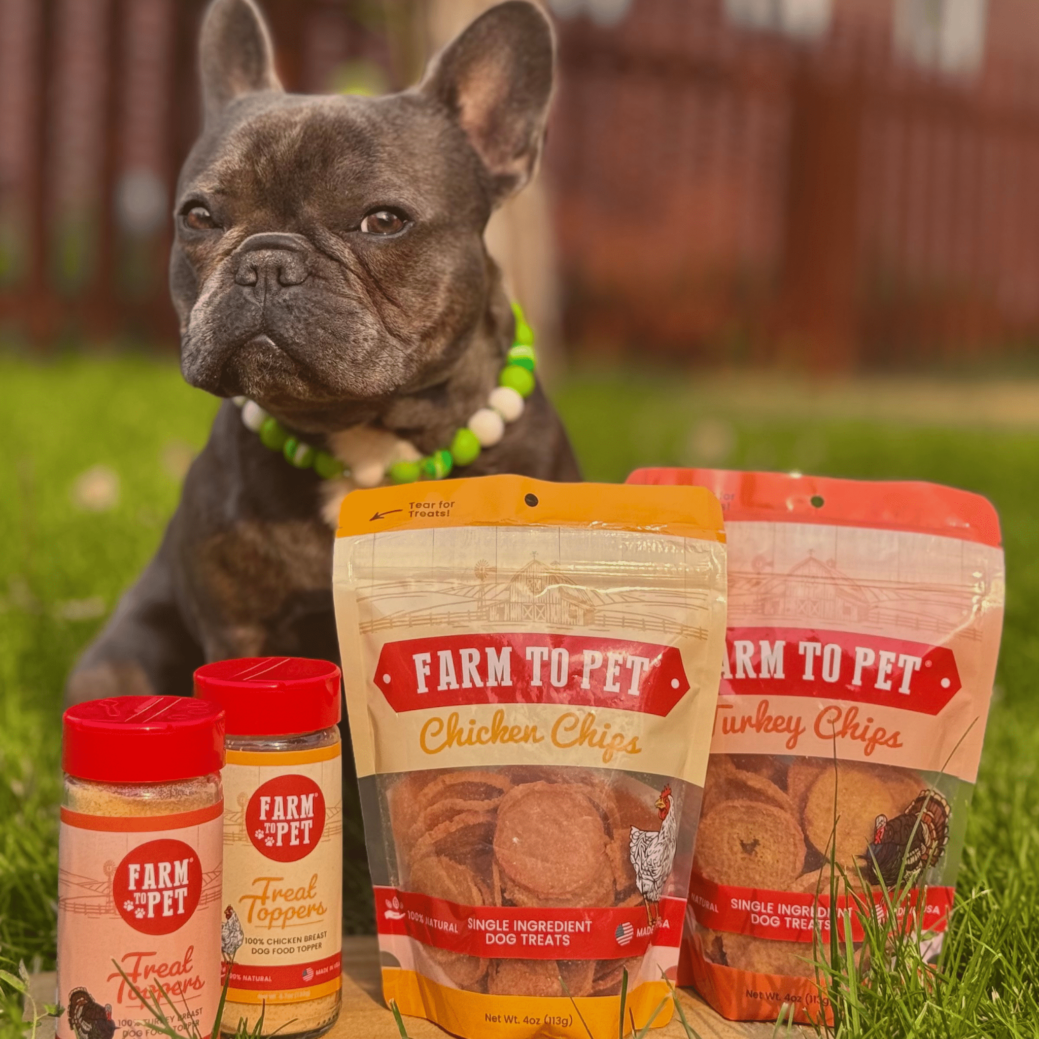 Dog food topper bundle with Chicken and Turkey chips: two red-capped jars.
