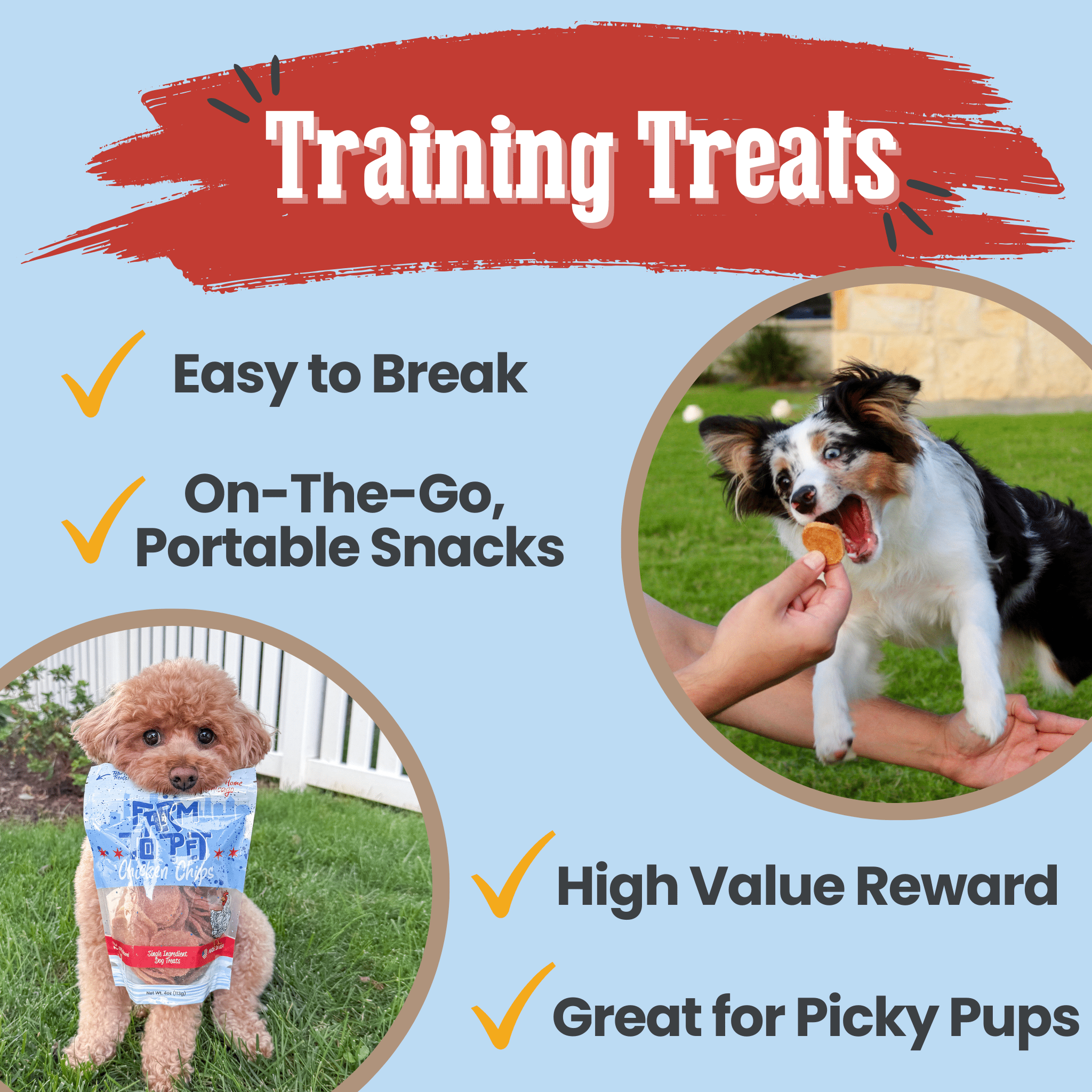 Chicken chip dog treat bag shown with reward-style snack and companion dog photo