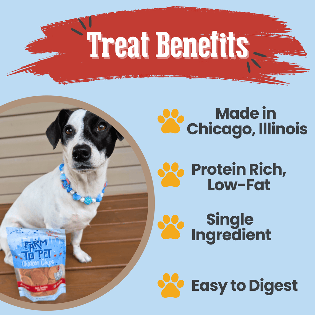 Dog with chicken chip treats bag on a benefits layout with product icons