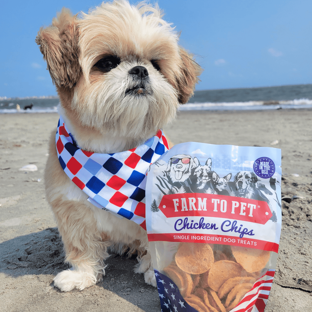 Dog wearing a bandana with Farm to Pet chicken chips treat bag on the ground.