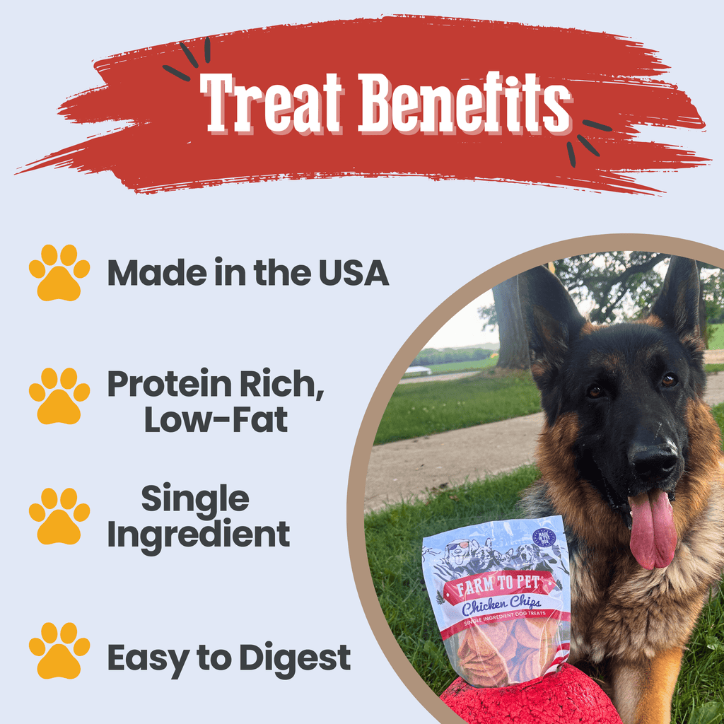 German shepherd with tongue out beside Farm to Pet chicken chips treat bag.