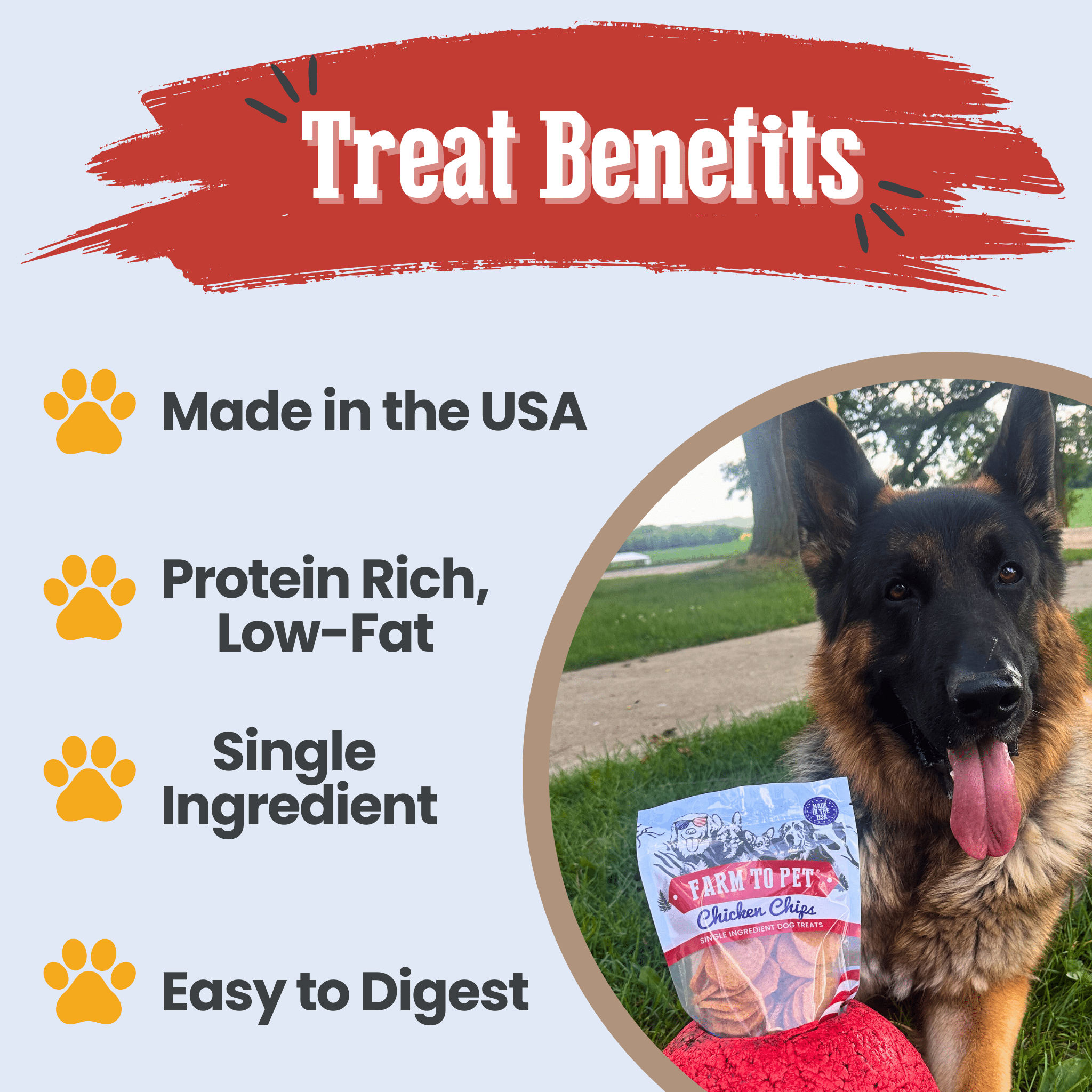 German shepherd with tongue out beside Farm to Pet chicken chips treat bag.